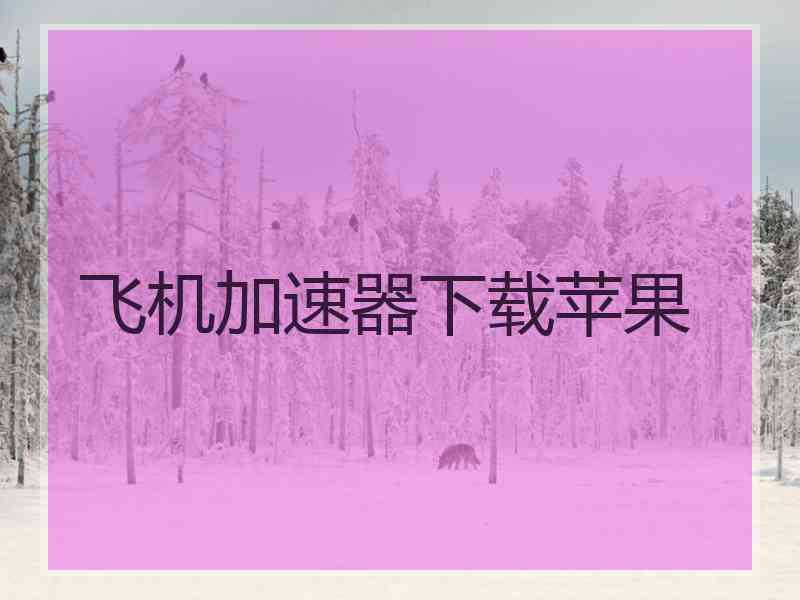 飞机加速器下载苹果