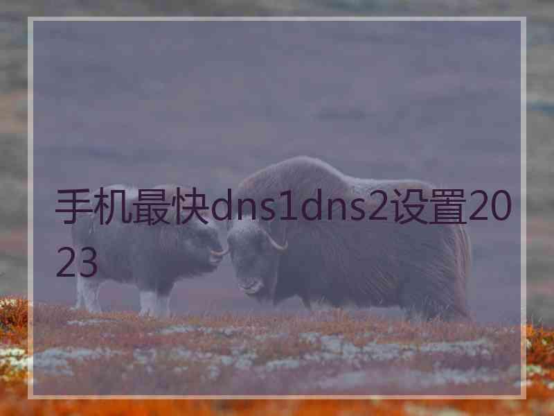手机最快dns1dns2设置2023
