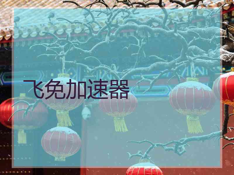 飞免加速器