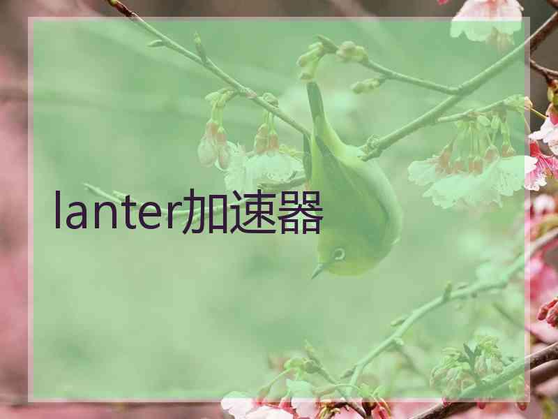 lanter加速器