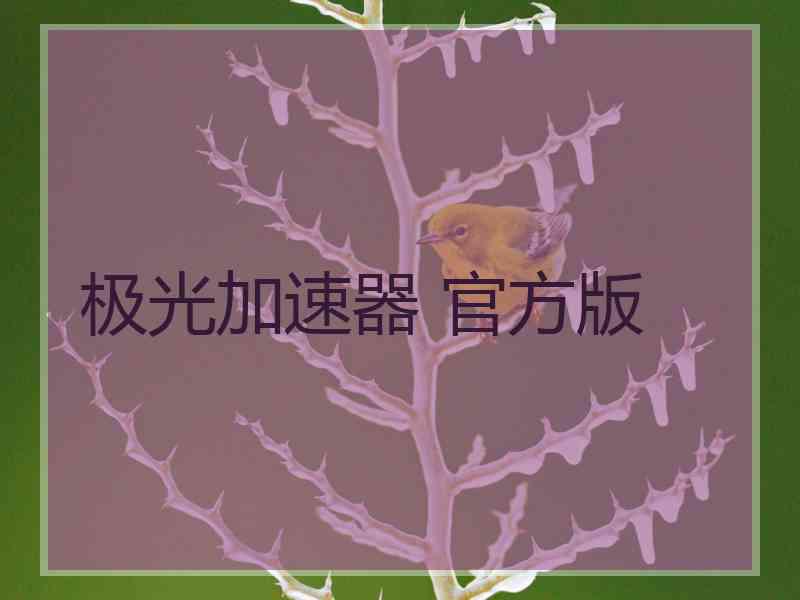 极光加速器 官方版
