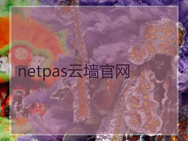 netpas云墙官网