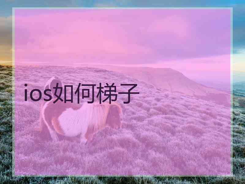 ios如何梯子