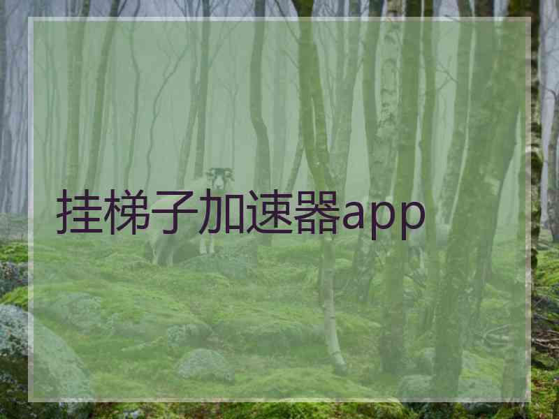 挂梯子加速器app