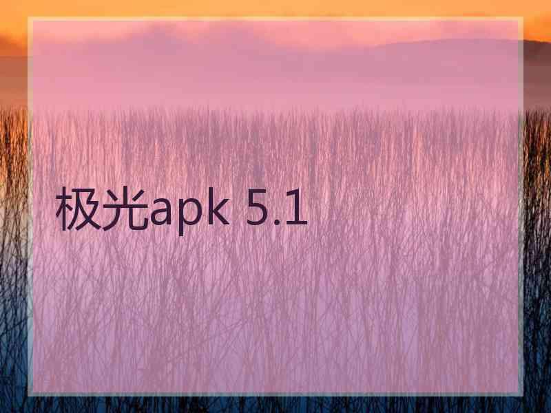 极光apk 5.1