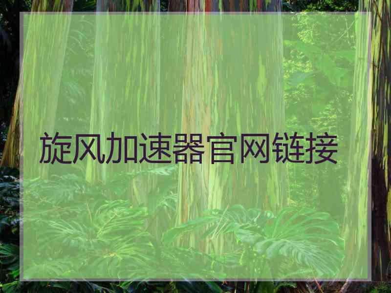 旋风加速器官网链接