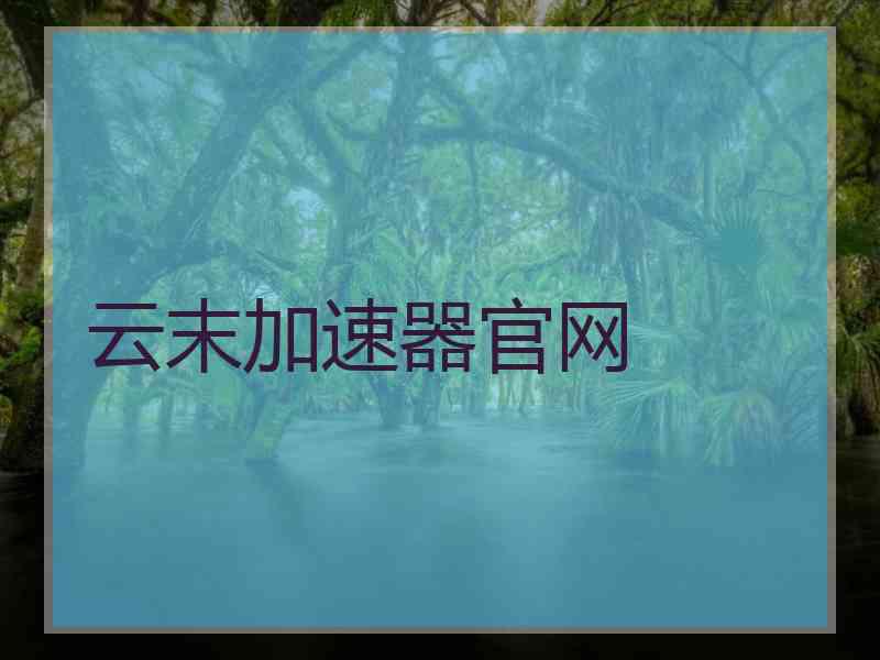 云末加速器官网