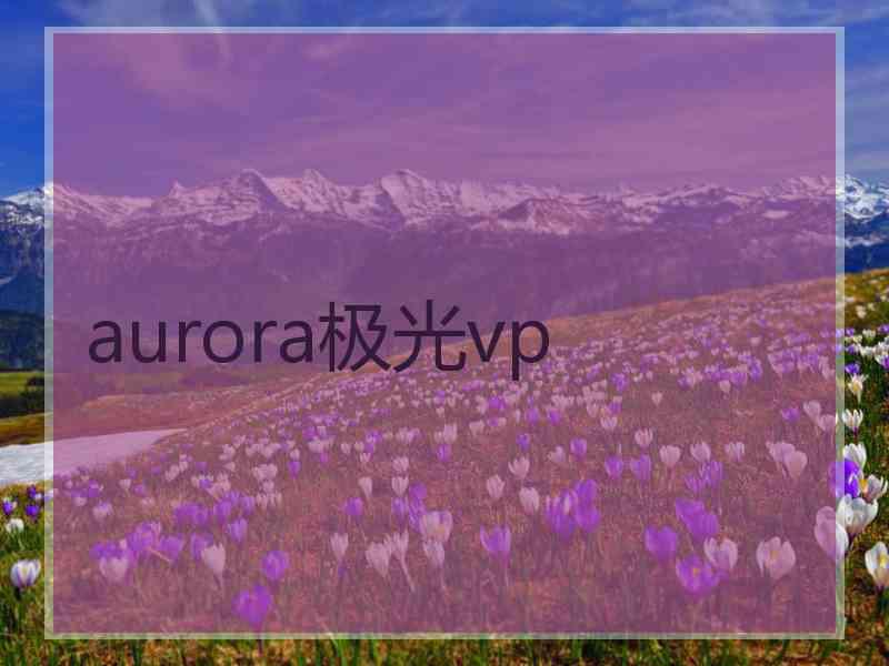 aurora极光vp