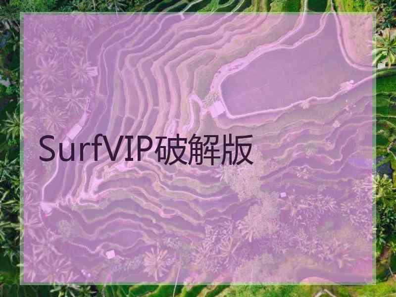 SurfVIP破解版