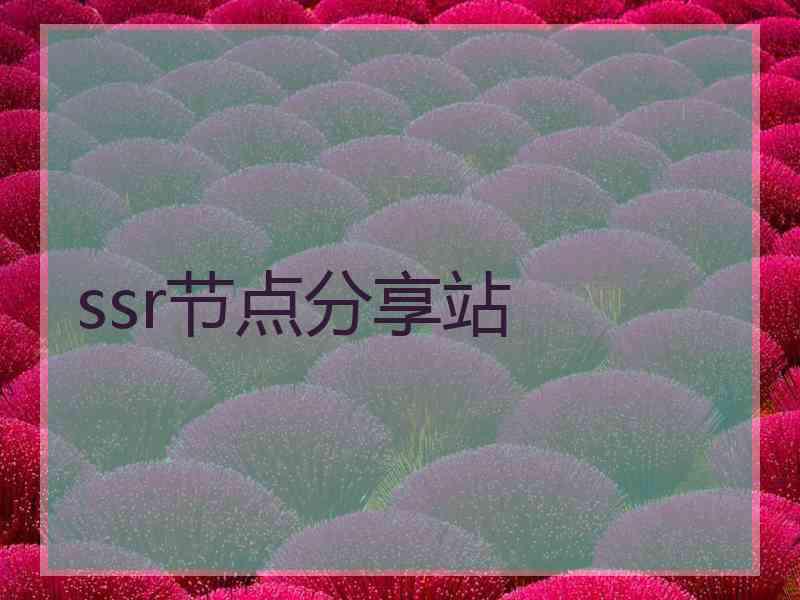 ssr节点分享站