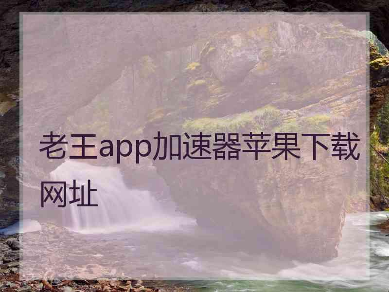 老王app加速器苹果下载网址