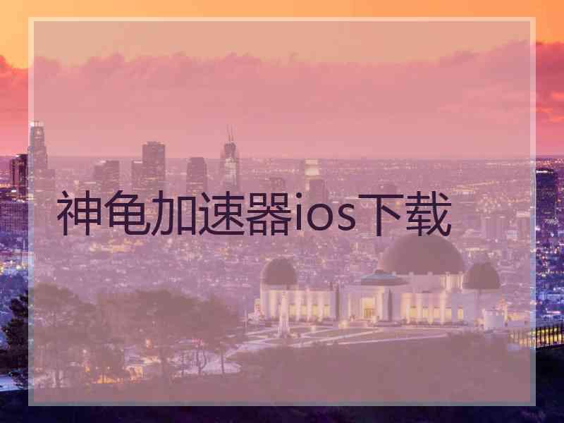 神龟加速器ios下载