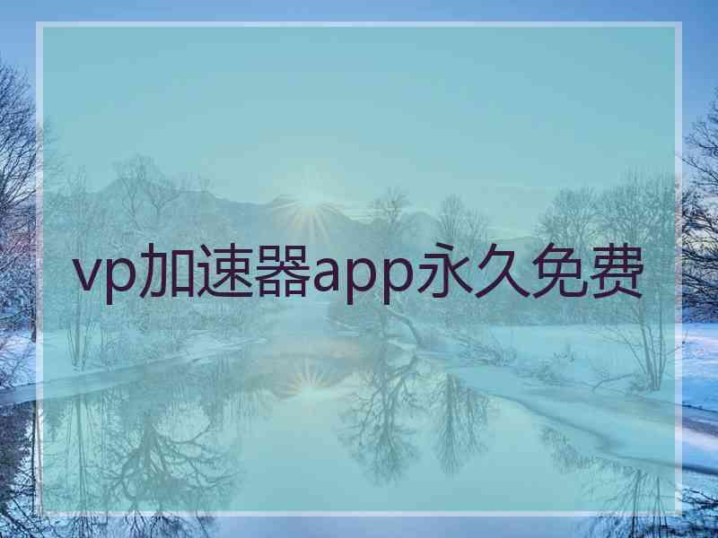 vp加速器app永久免费