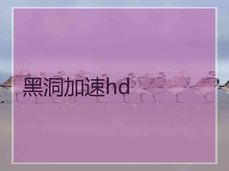黑洞加速hd