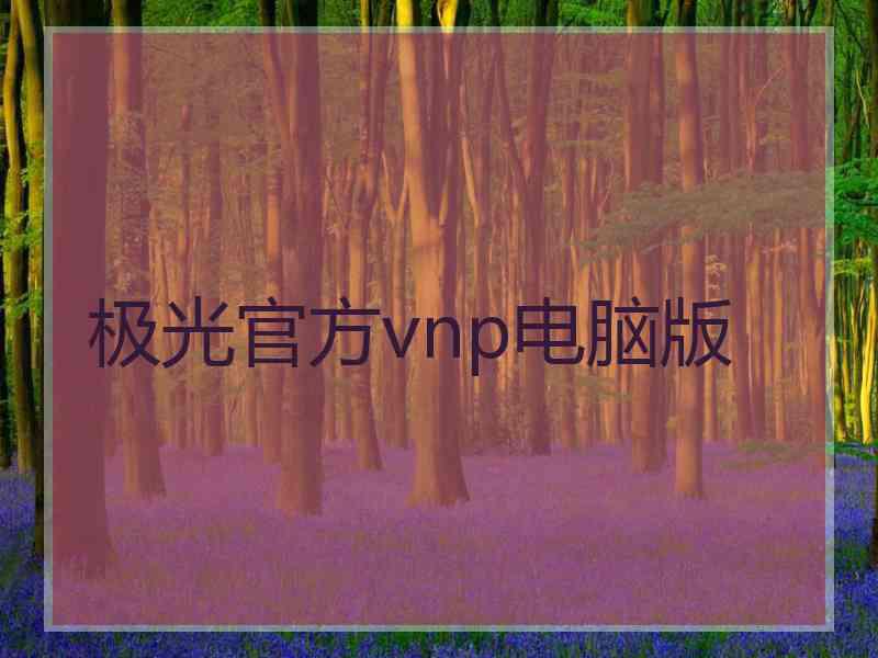 极光官方vnp电脑版