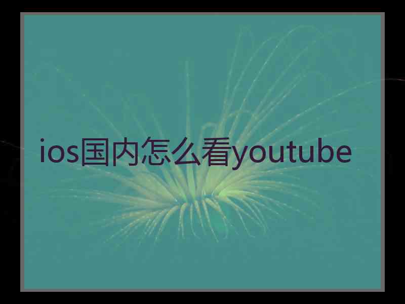 ios国内怎么看youtube