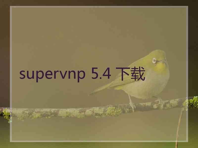 supervnp 5.4 下载