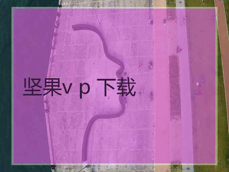 坚果v p 下载