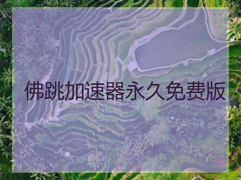 佛跳加速器永久免费版