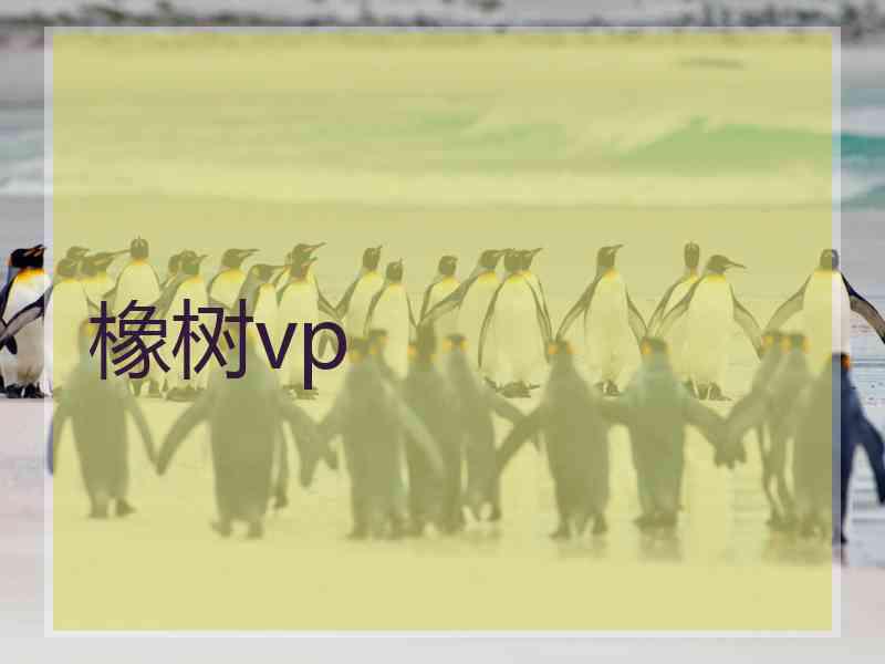 橡树vp