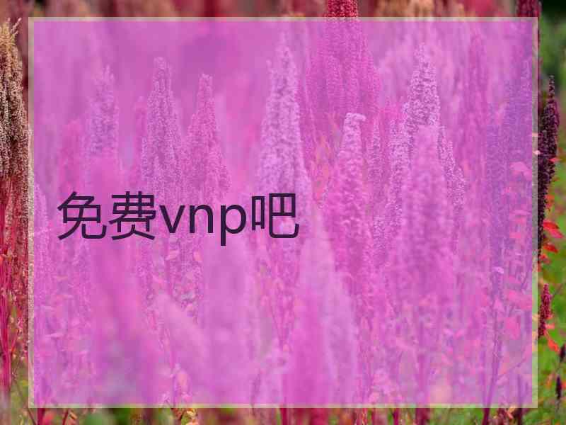 免费vnp吧