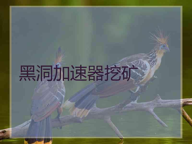 黑洞加速器挖矿