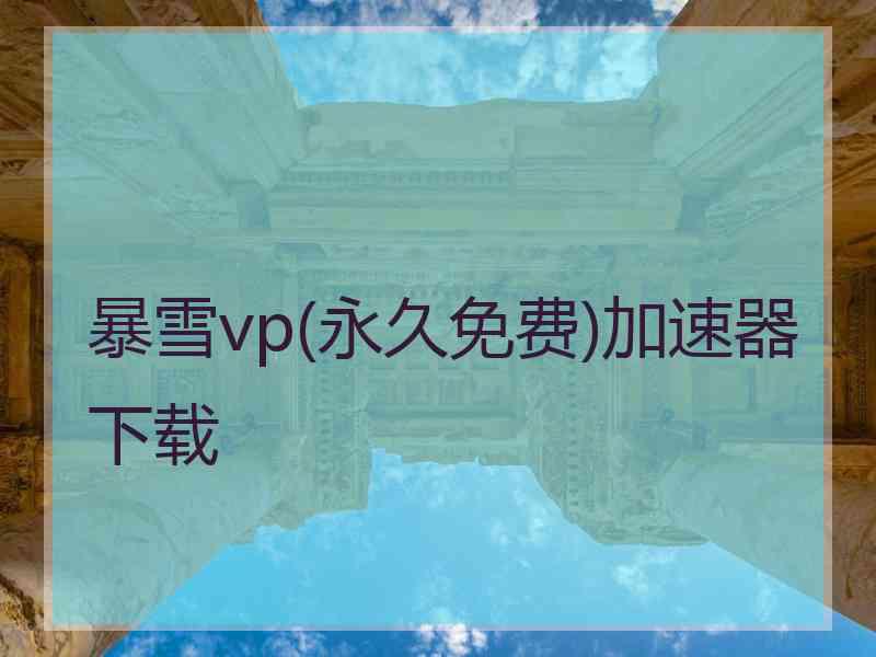 暴雪vp(永久免费)加速器下载