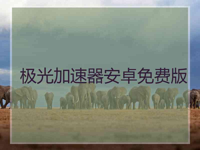 极光加速器安卓免费版