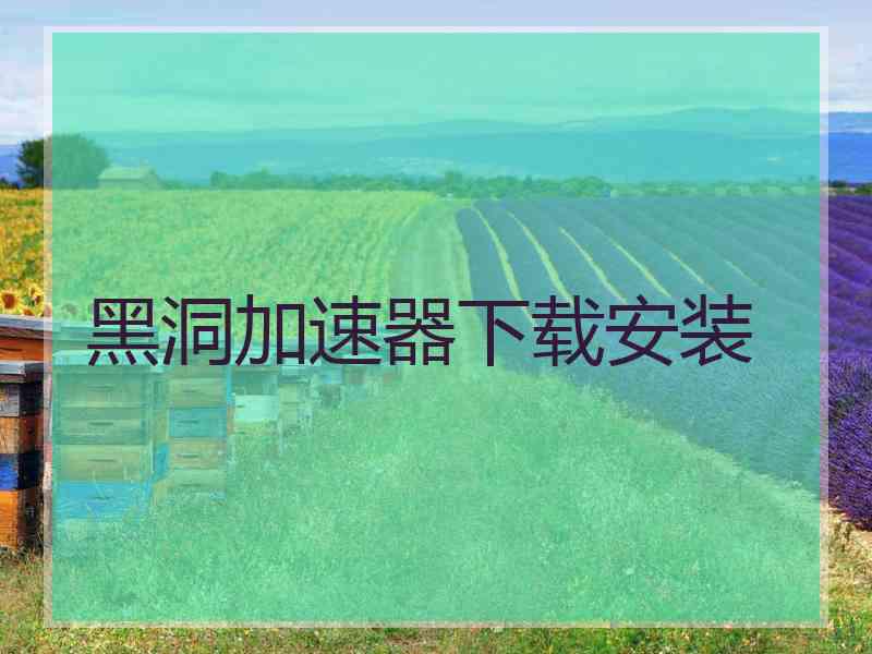 黑洞加速器下载安装