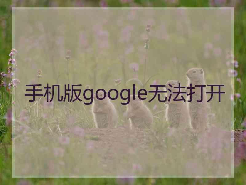 手机版google无法打开