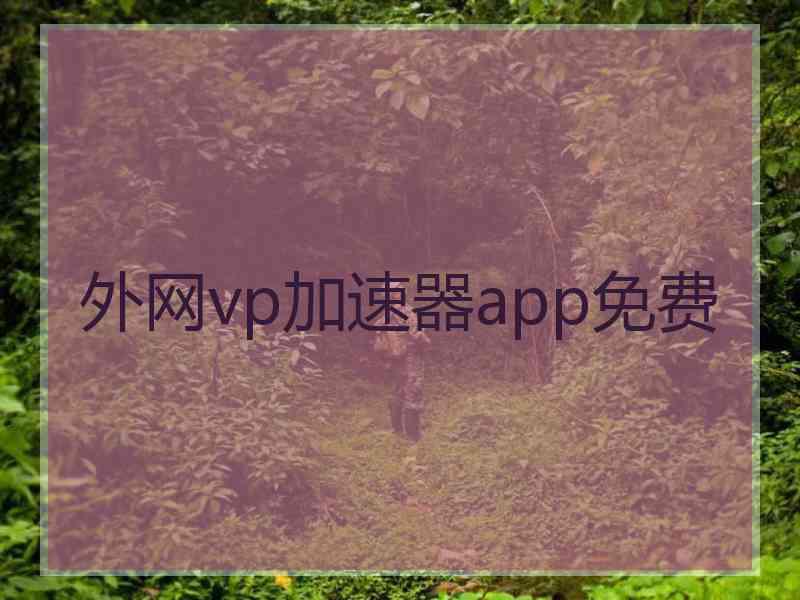 外网vp加速器app免费