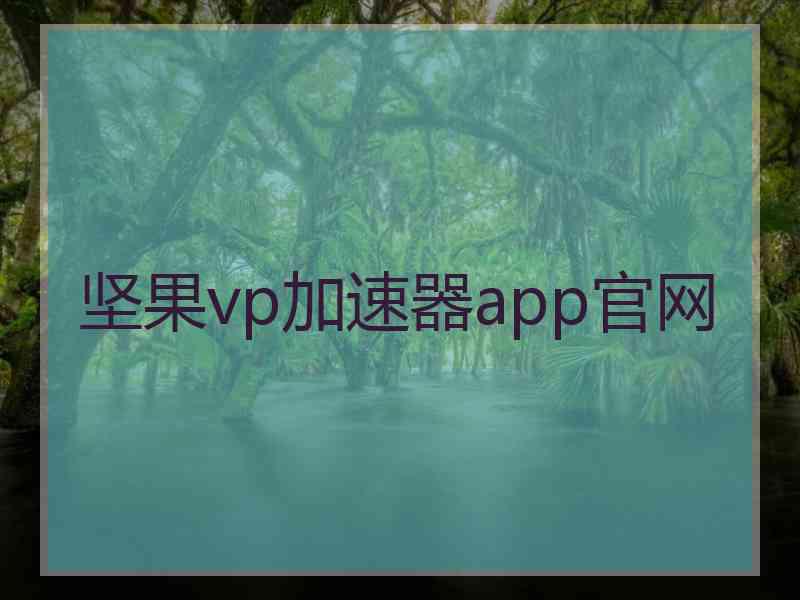 坚果vp加速器app官网