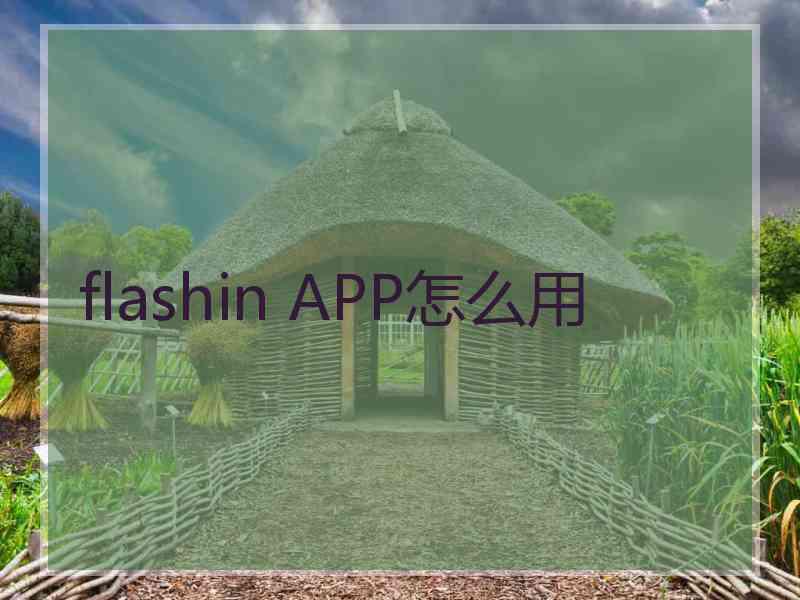 flashin APP怎么用