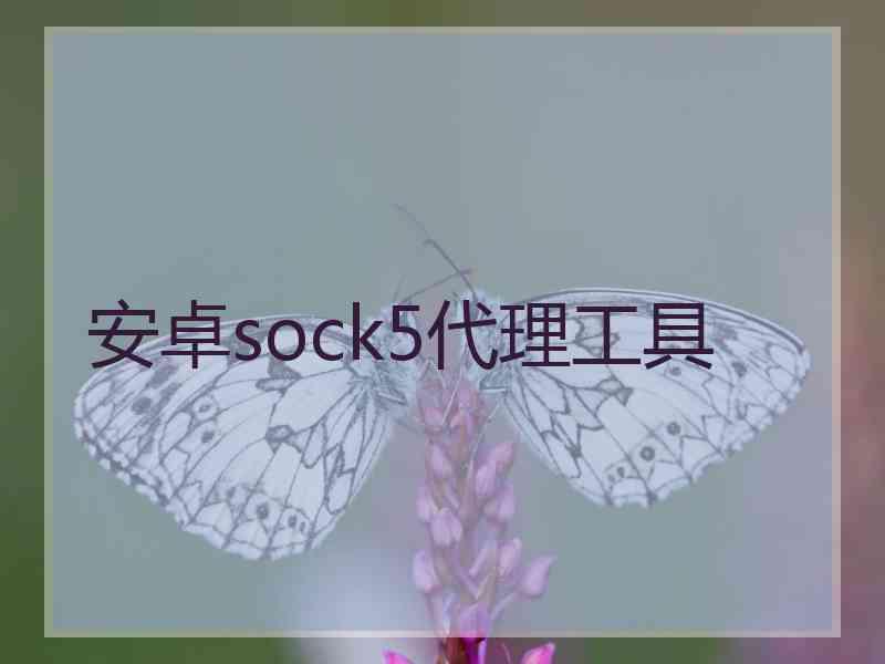 安卓sock5代理工具
