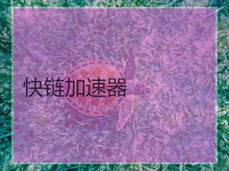 快链加速器