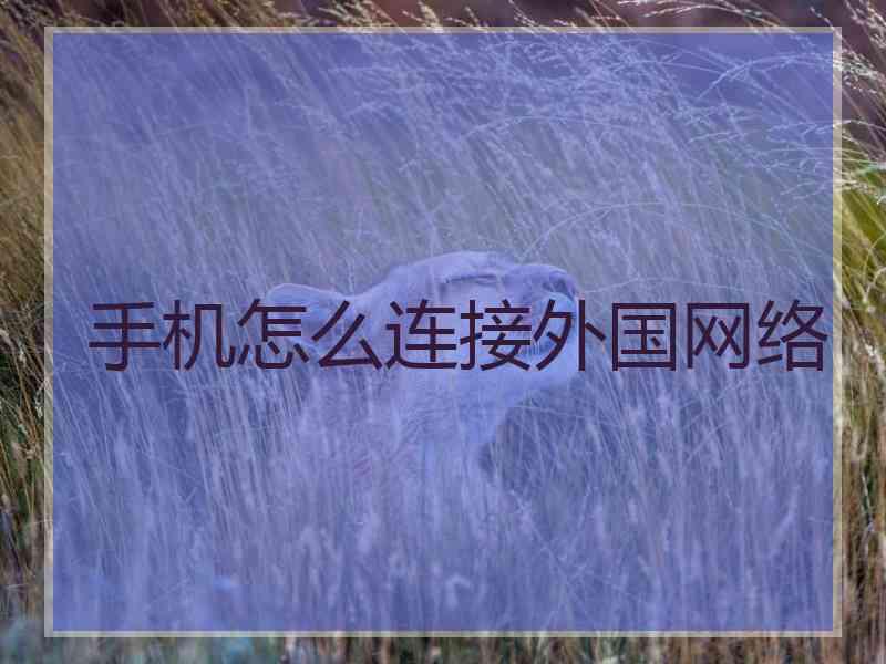 手机怎么连接外国网络