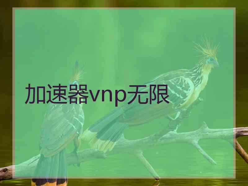 加速器vnp无限