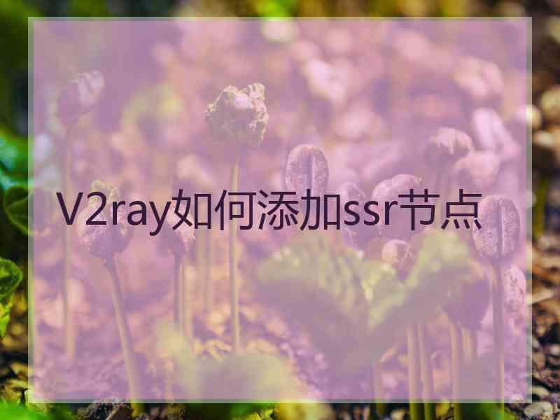 V2ray如何添加ssr节点