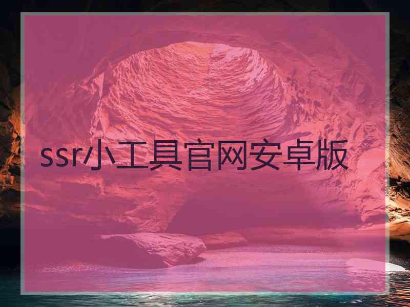 ssr小工具官网安卓版