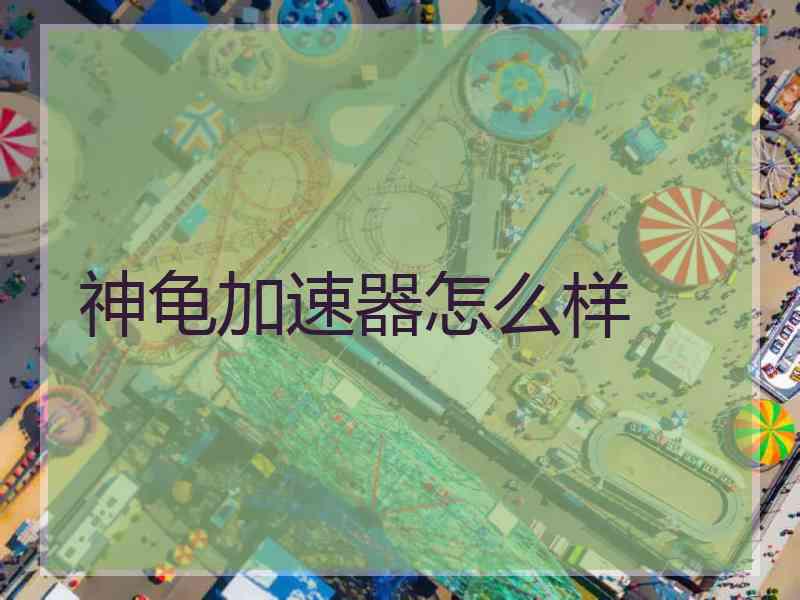 神龟加速器怎么样