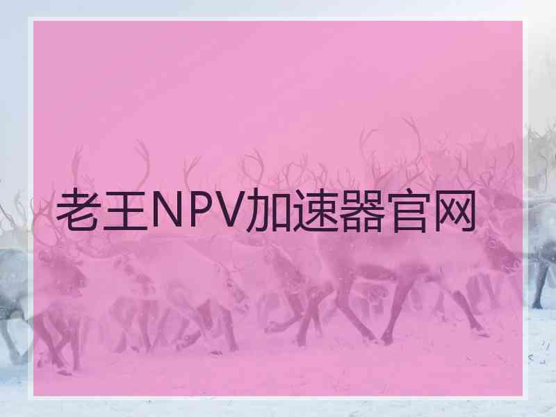 老王NPV加速器官网