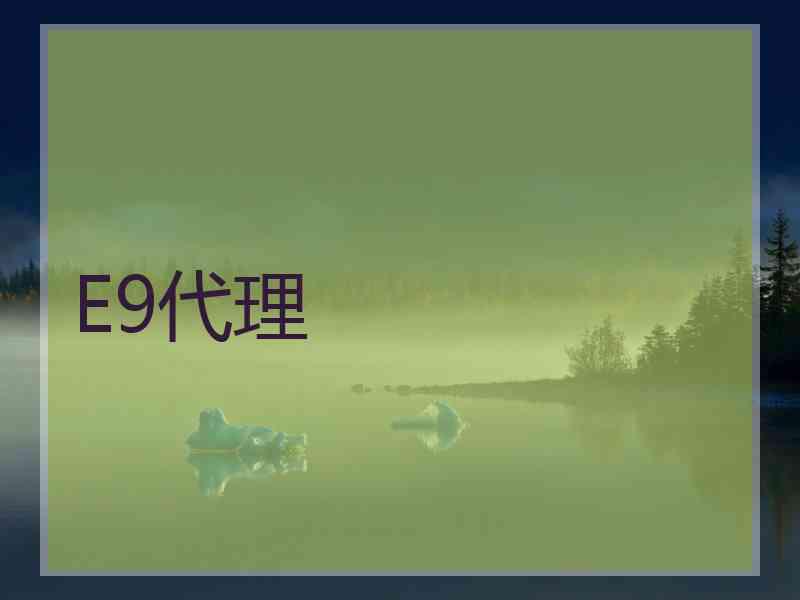 E9代理