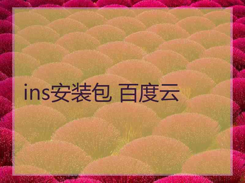 ins安装包 百度云