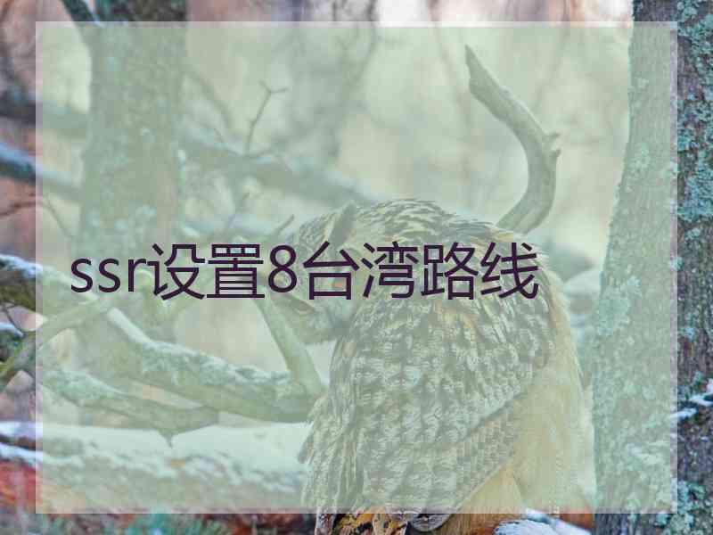 ssr设置8台湾路线