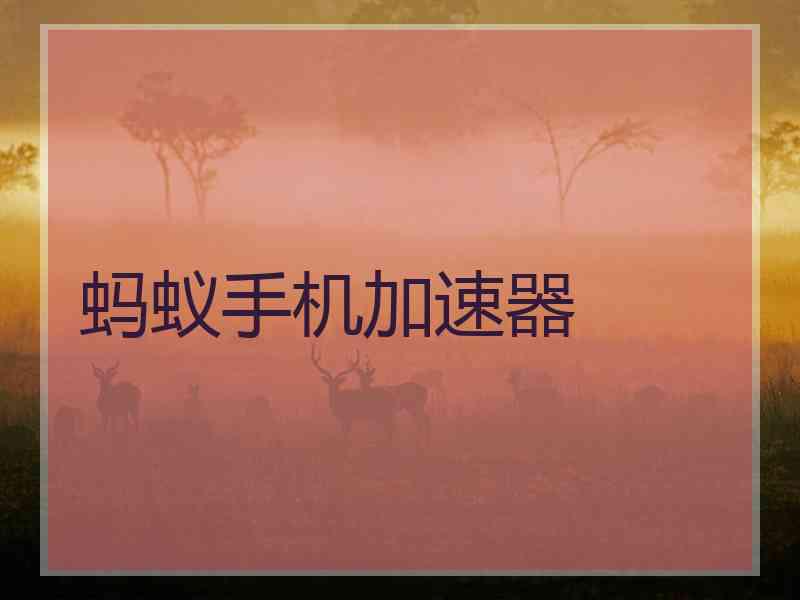 蚂蚁手机加速器