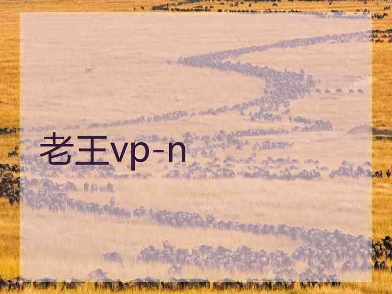 老王vp-n