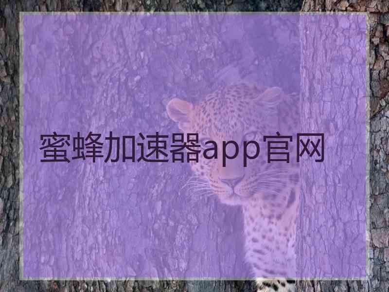 蜜蜂加速器app官网