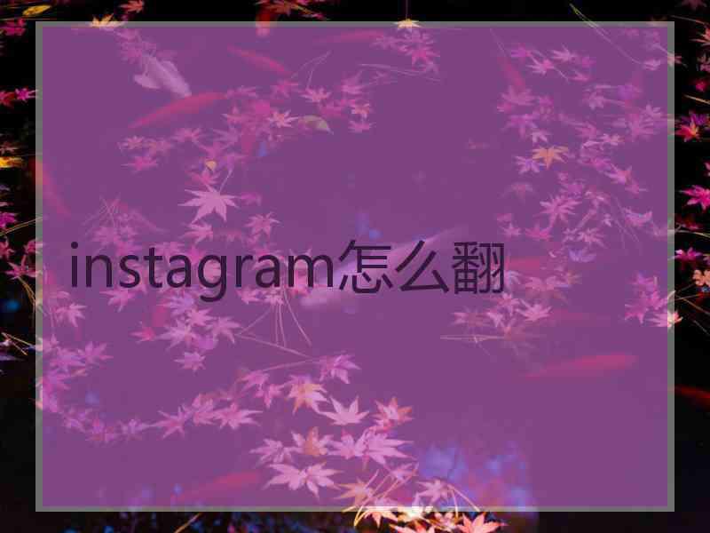 instagram怎么翻