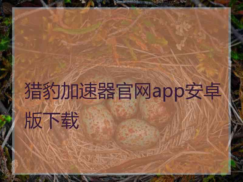 猎豹加速器官网app安卓版下载