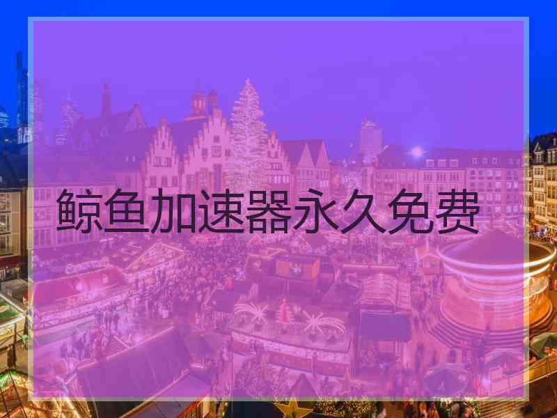 鲸鱼加速器永久免费